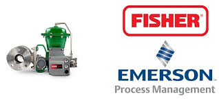 13A2619X102 - SEAL, BALL, P/N 13A2619X102, FOR FISHER 6&quot; V100 BALL VALVE