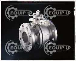 EB1SF-0025R3A1ABA1-CAS00S0TCG0IB - Class - 150, Connection - RF, Bore -Full, Valve Type - Ball, Styl